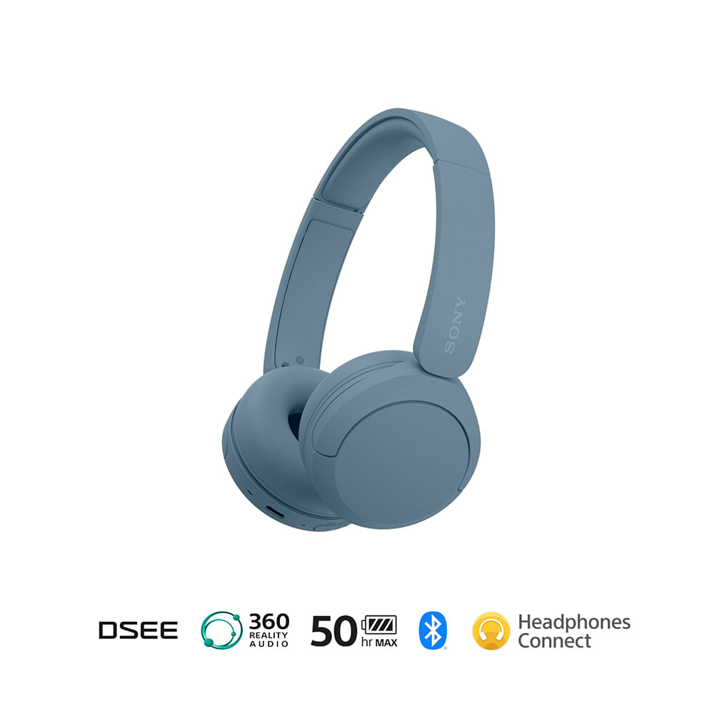 Sony WH-CH520 - Auriculares inalámbricos Bluetooth con micrófono (negro)  con estuche rígido protector para auriculares (2 artículos)